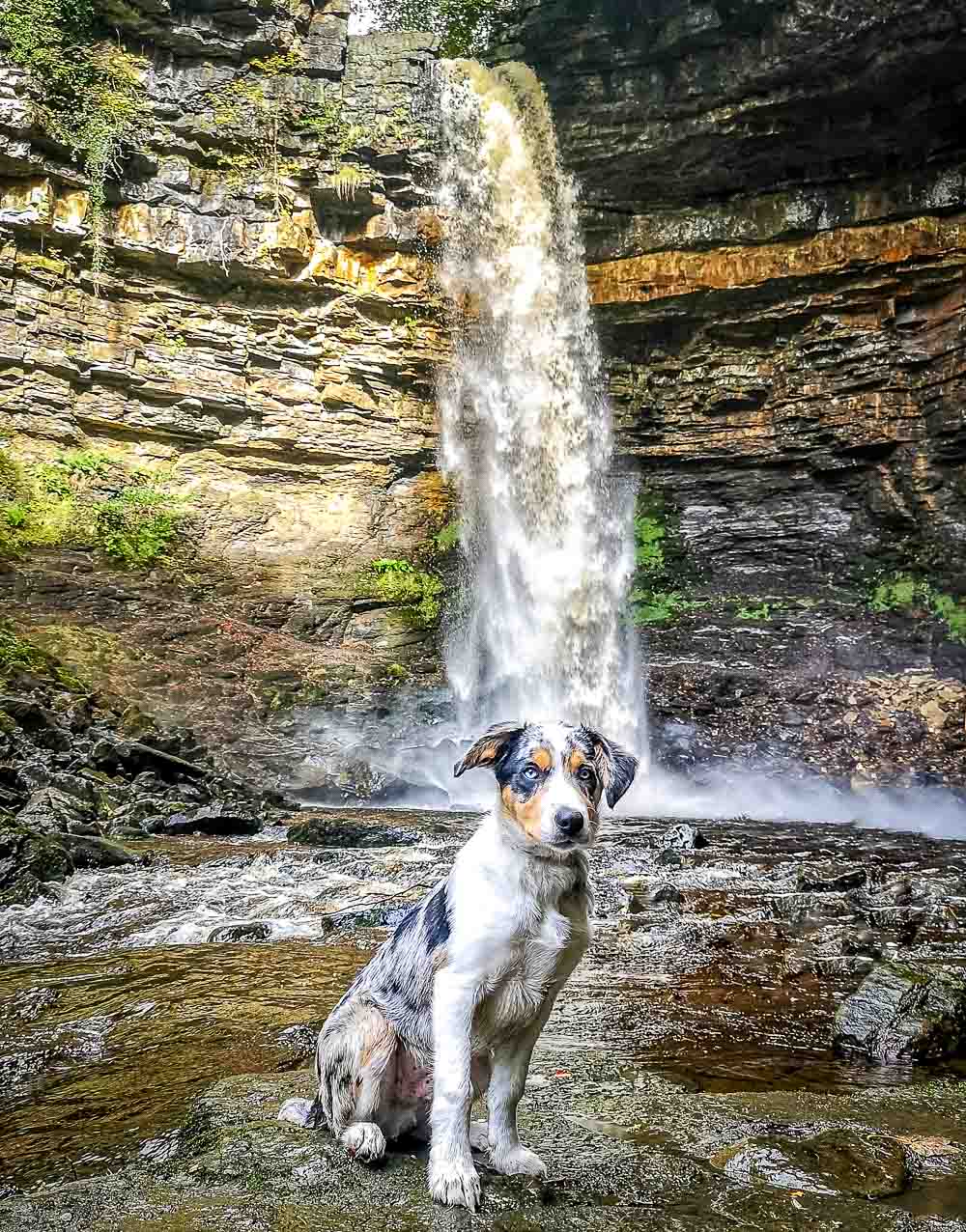 a waterfall called force