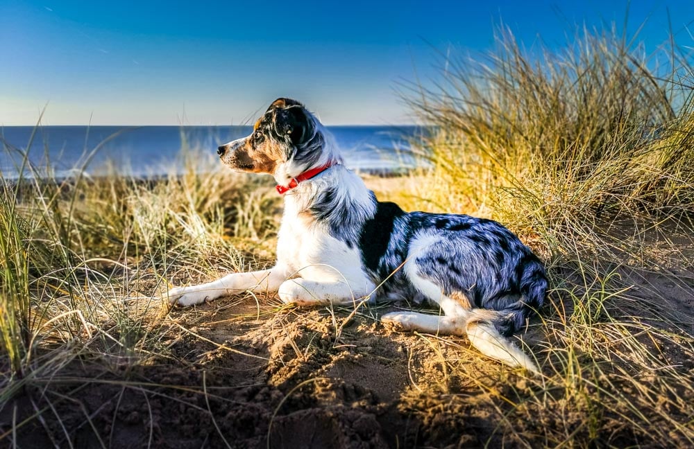 looking out to sea