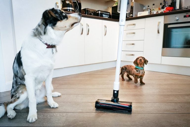 The ROIDMI X20 – Powerful Cordless Vacuum & Mop All In One