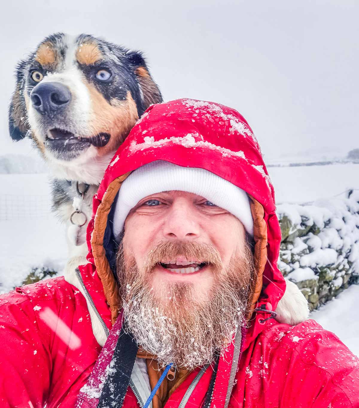 bearded man with dog