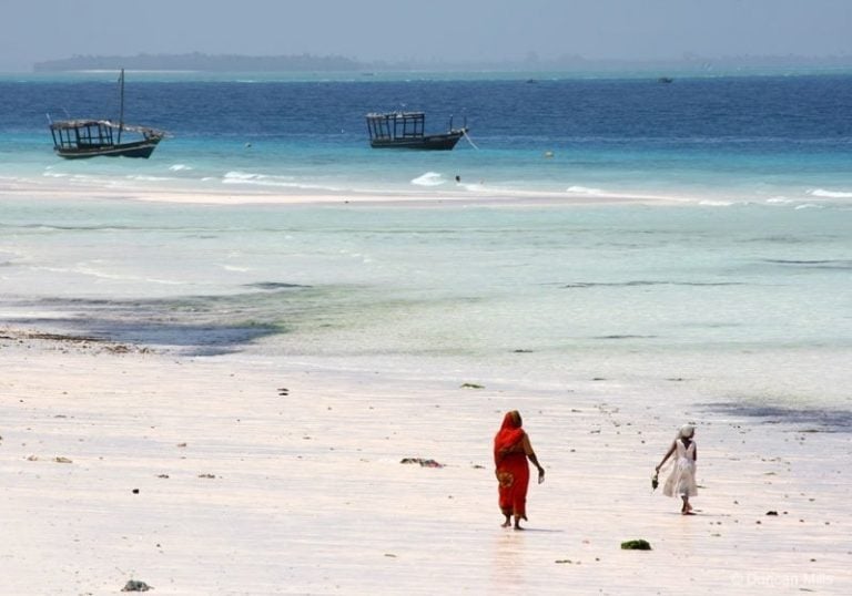 Must-Visit Attractions in Zanzibar: A Tropical Paradise Awaits