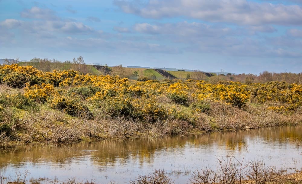 pond at greenham common