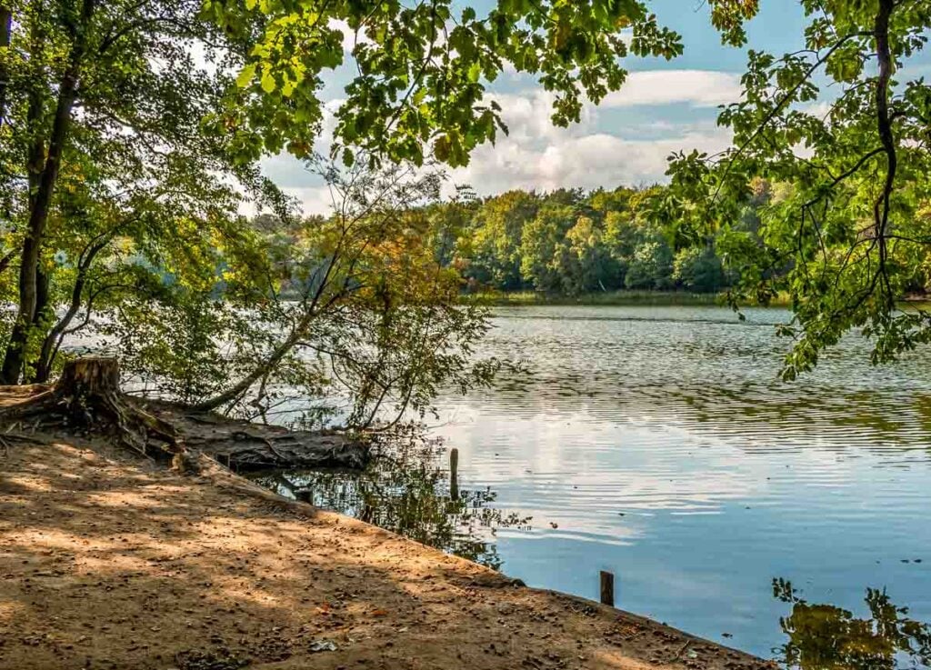 Krumme Lanke lakeside view