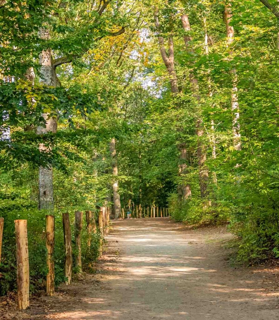 Krumme Lanke walking through the trees