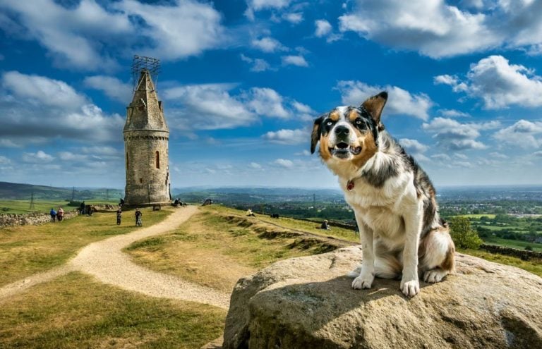 Hartshead Pike – The Edge of the Pennines at Dusk