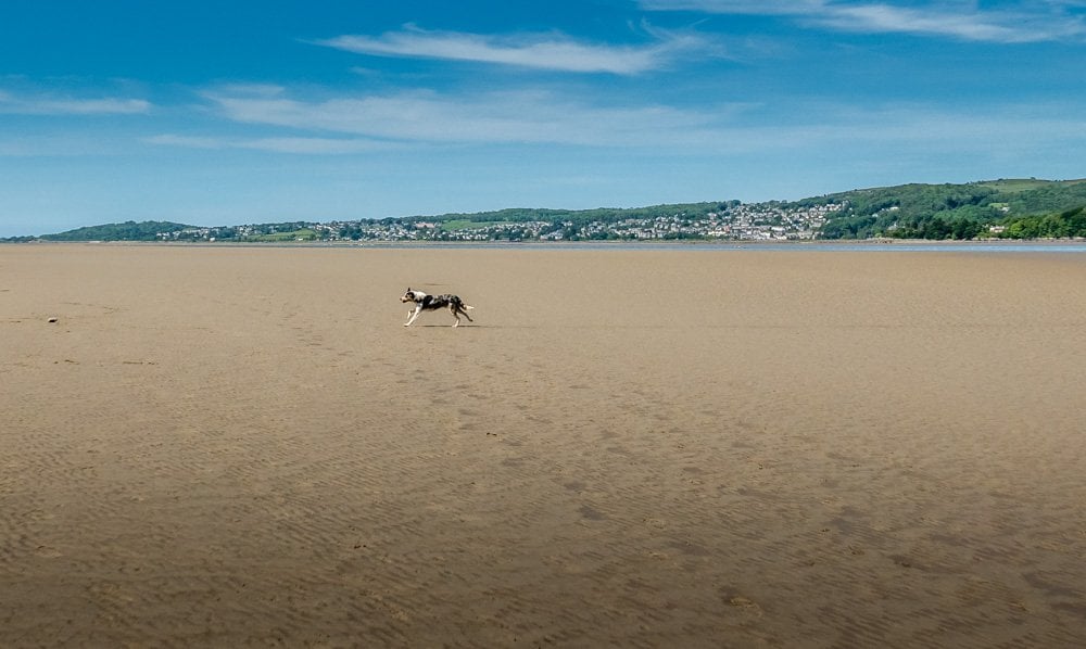 run along arnside beach estuary