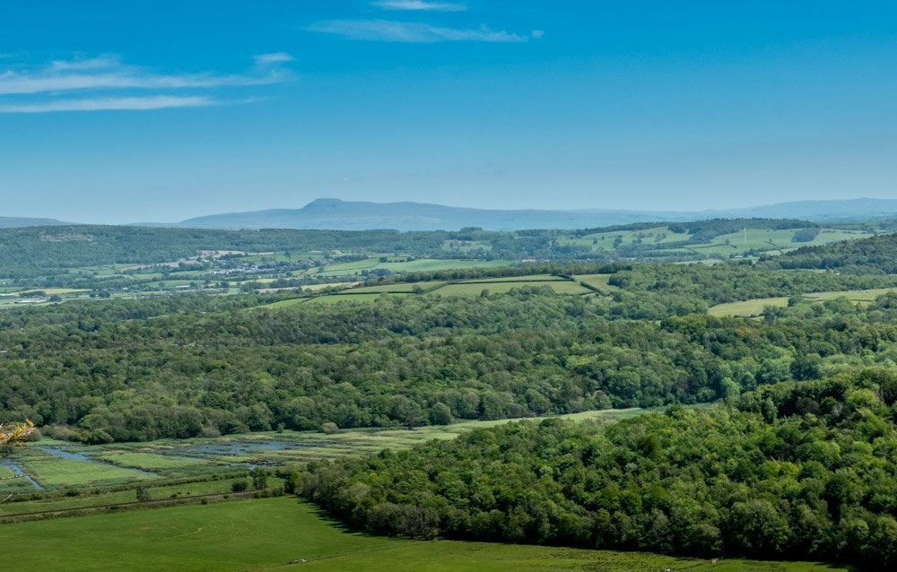 view to Ingleborough