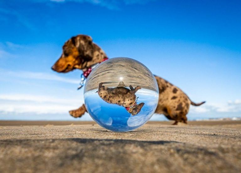 Lensball Photography – Refractions, Creativity and Tips