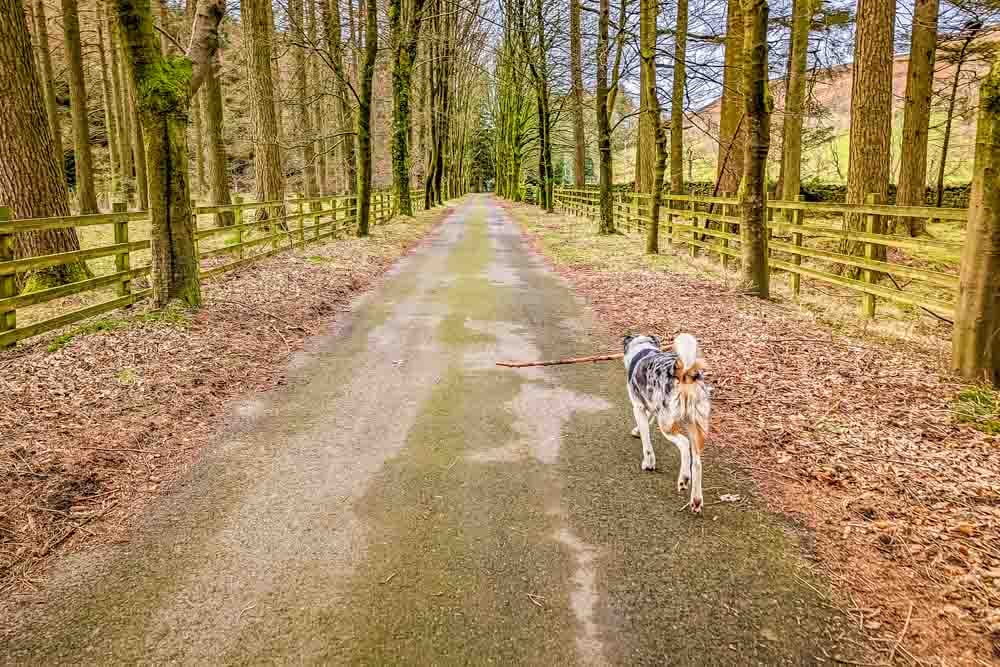 langden valley walk start