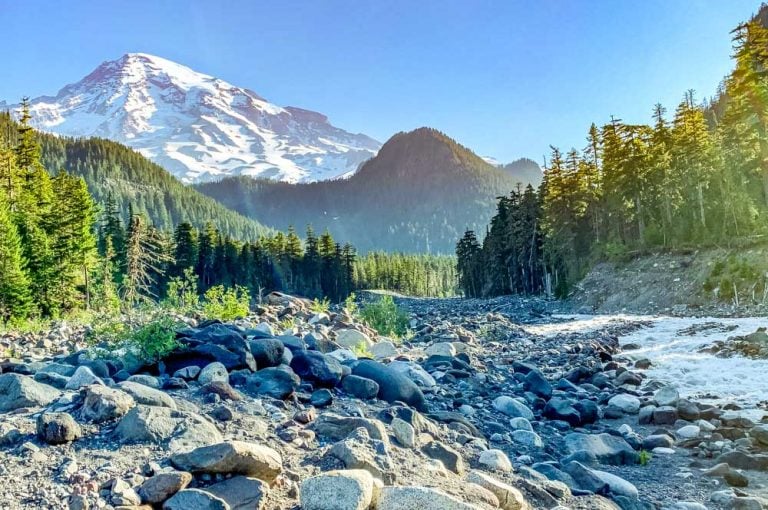 Hike To Carter Falls At Mt Rainier