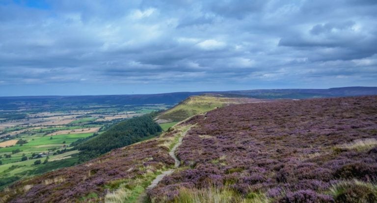 A Walk in The Cleveland Hills and The Lord Stones