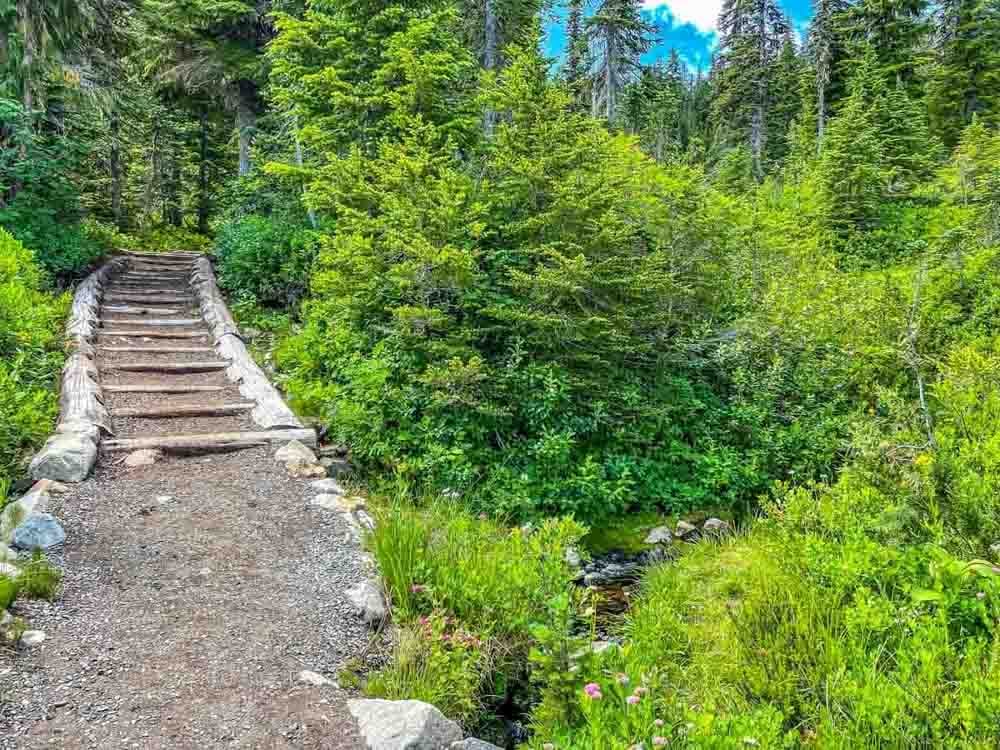 lower trail path