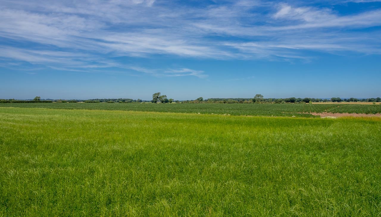 the battlefields now used for crops