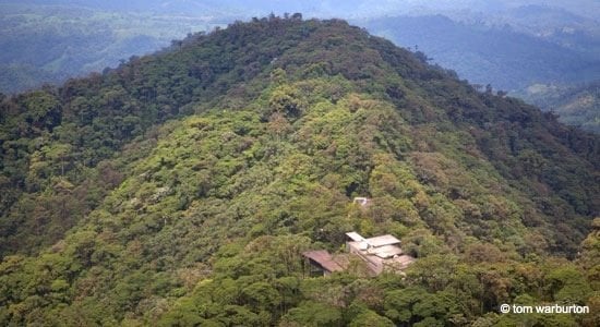 Mashpi lodge in the rainforest