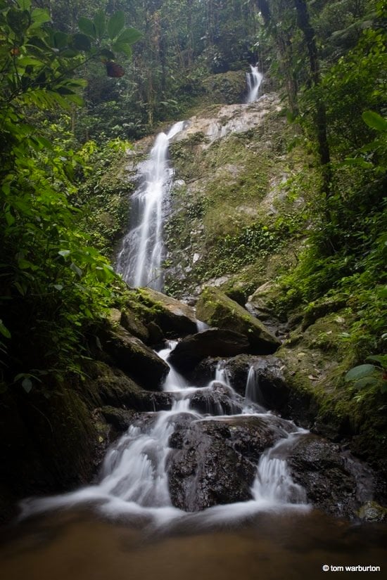 Mashpi rainforest waterfall