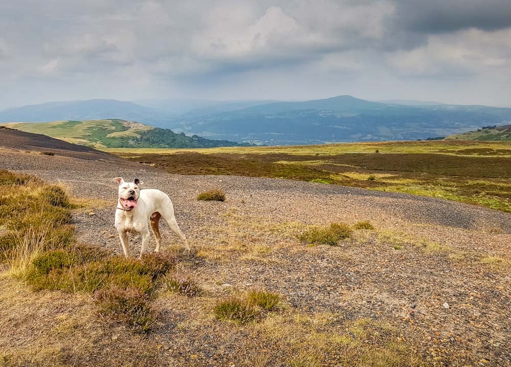 on the black mountains