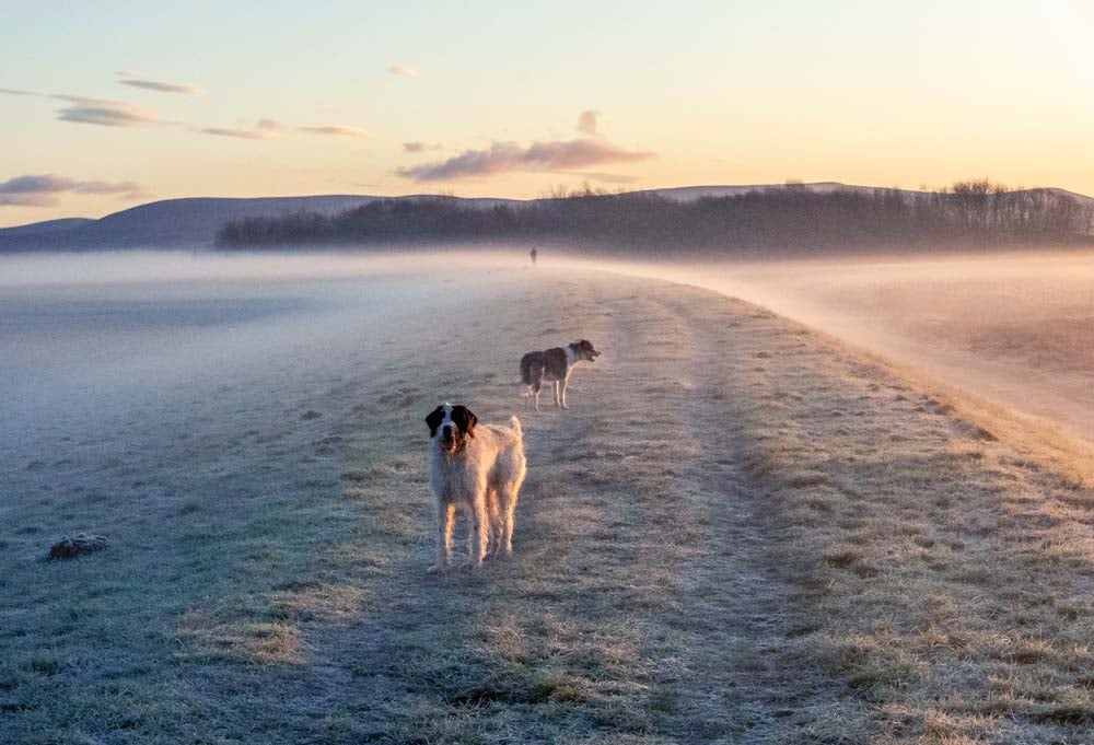 mist as the sun rises after frost
