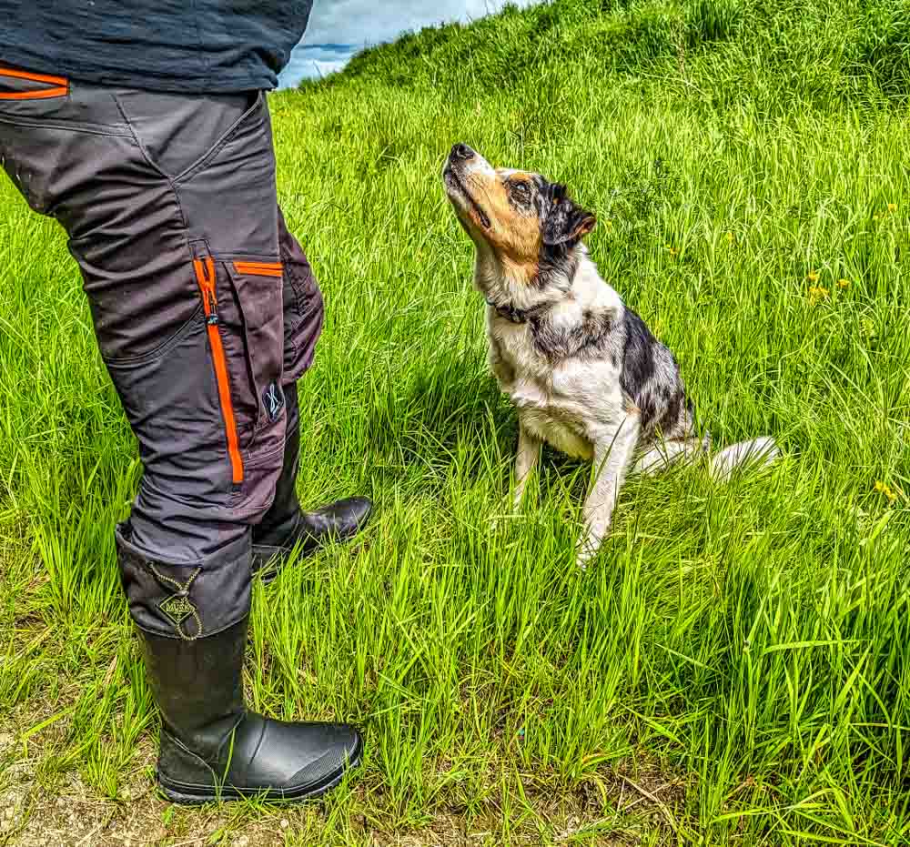 muck boots for dog walks