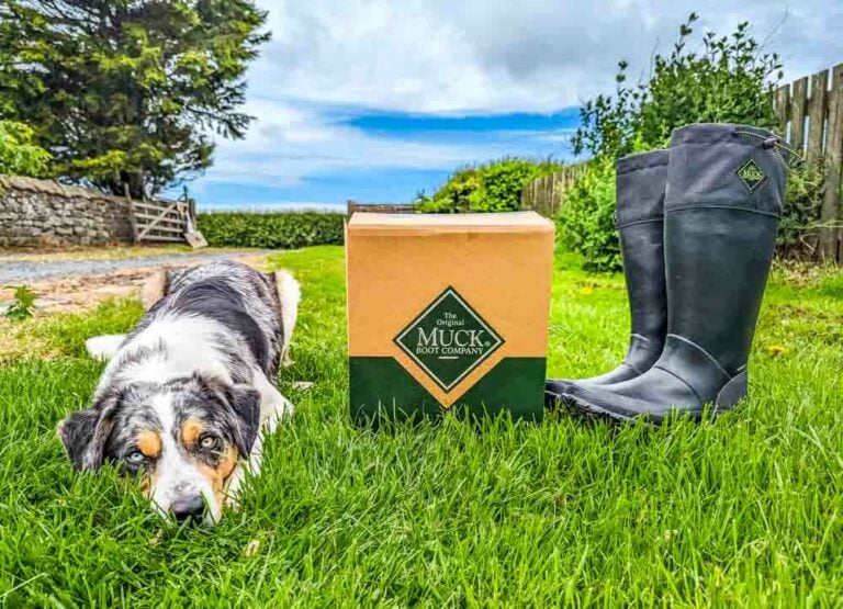 Muck Boots – Footwear For Dog Walking
