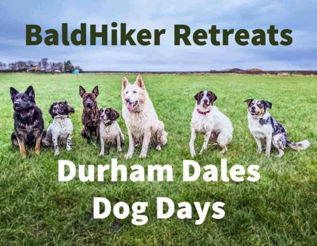 Durham Dales Dog Days BaldHiker Retreat