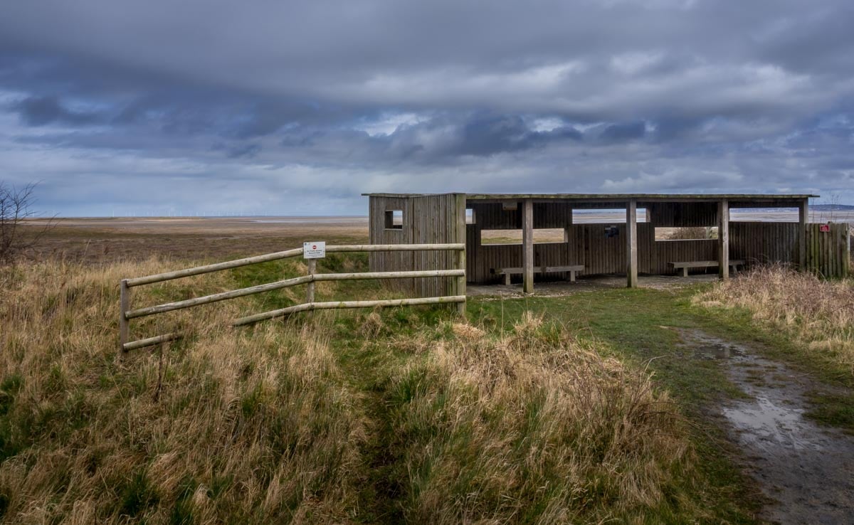 bird hide dee estuary