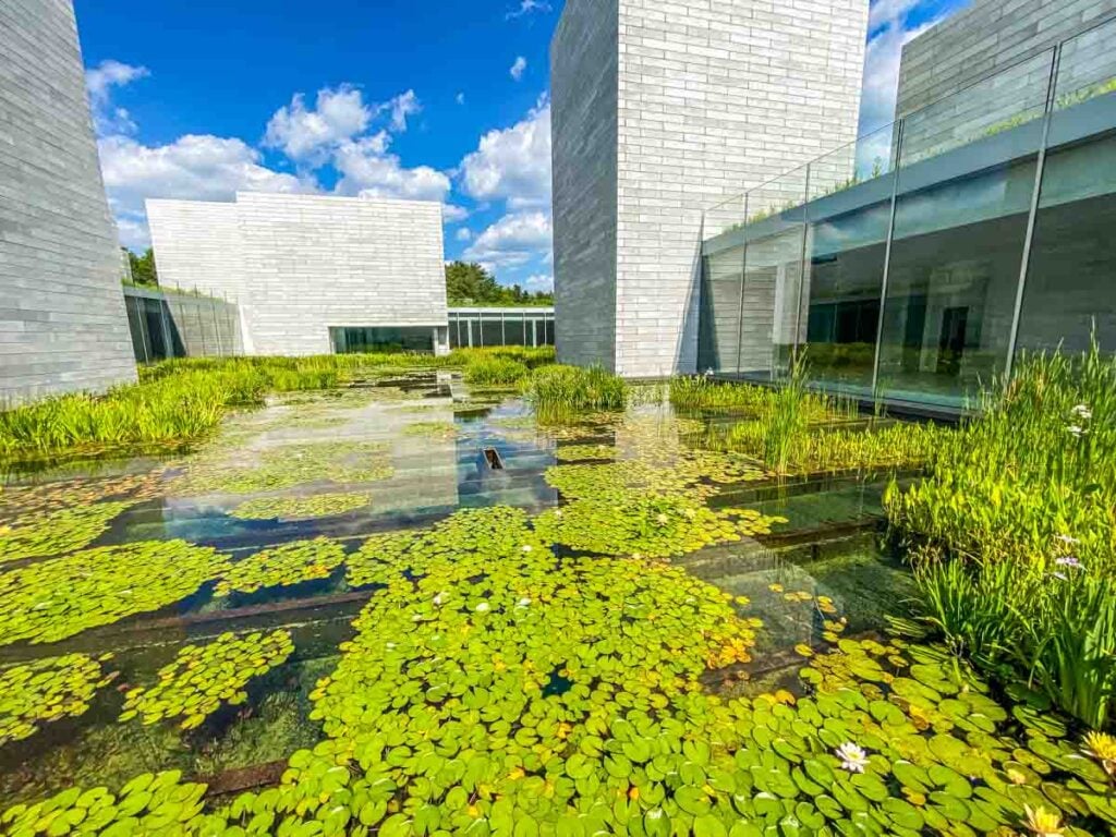 An outside view of the 18,000 square foot water court of The Pavilions at Glenstone, featuring lily pads