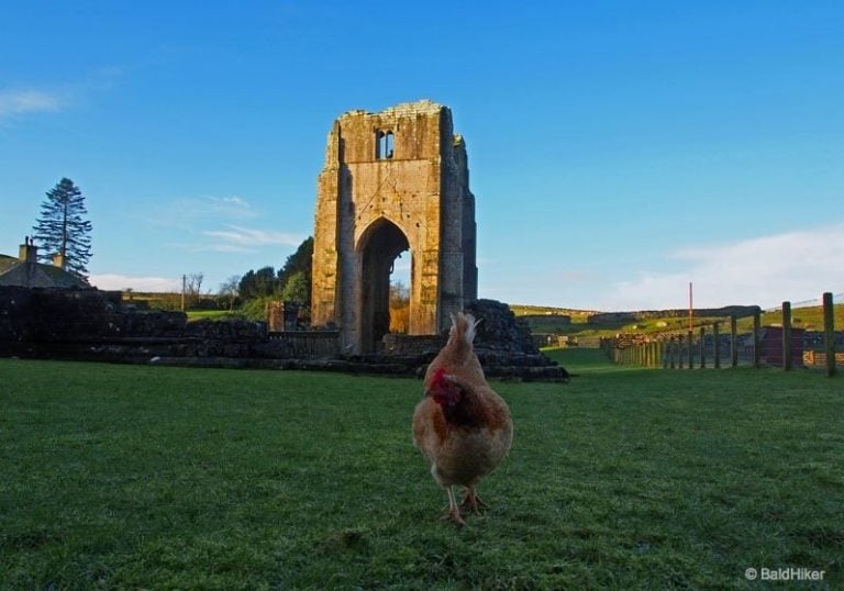 Shap Abbey – Peaceful Cumbrian Ruins In The Lowther Valley