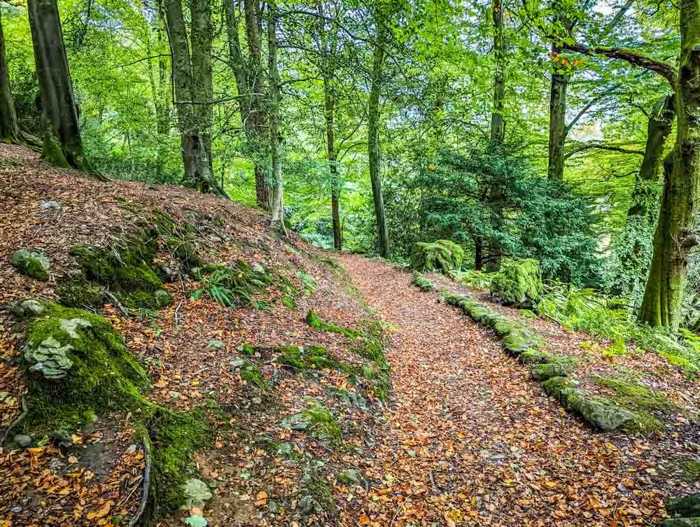 path through Lancrigg Wood