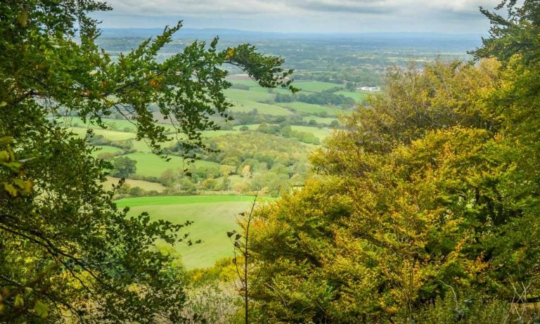 Chanctonbury Ring, An Iconic South Downs Walk