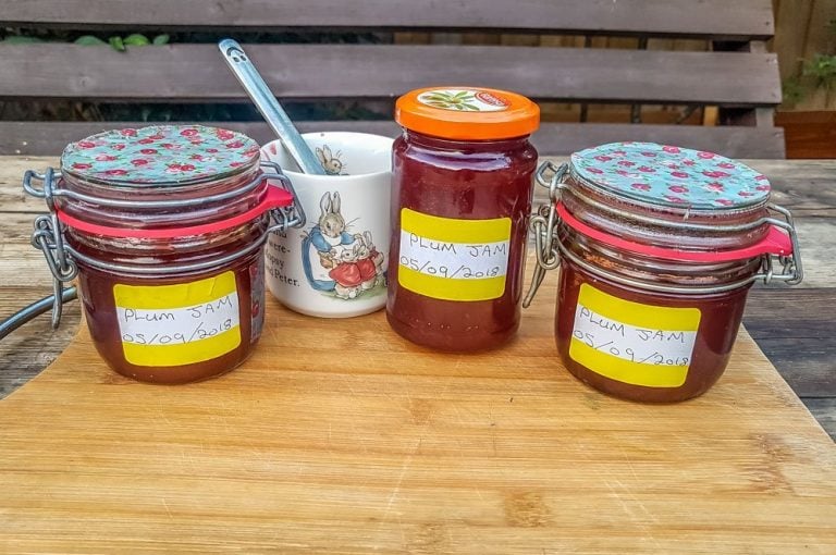 Plum Jam Recipe – Homemade and Delicious