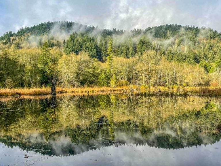 McLane Creek Nature Trail Loop, Washington