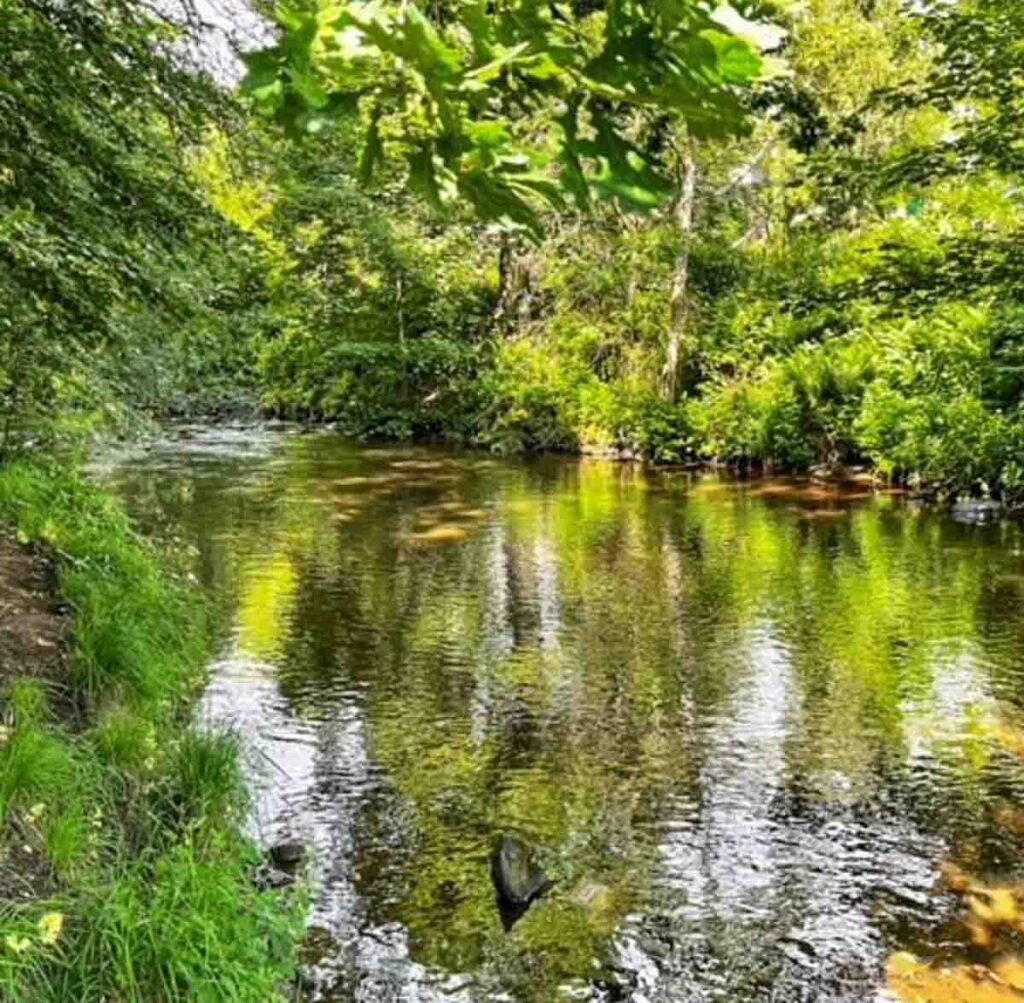 Reflections on the water