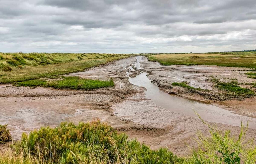 RSPB Titchwell Marsh sandbanks