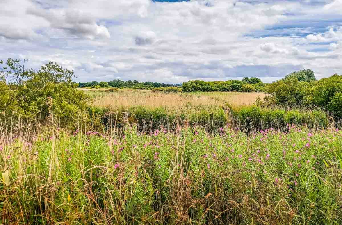 RSPB Titchwell Marsh