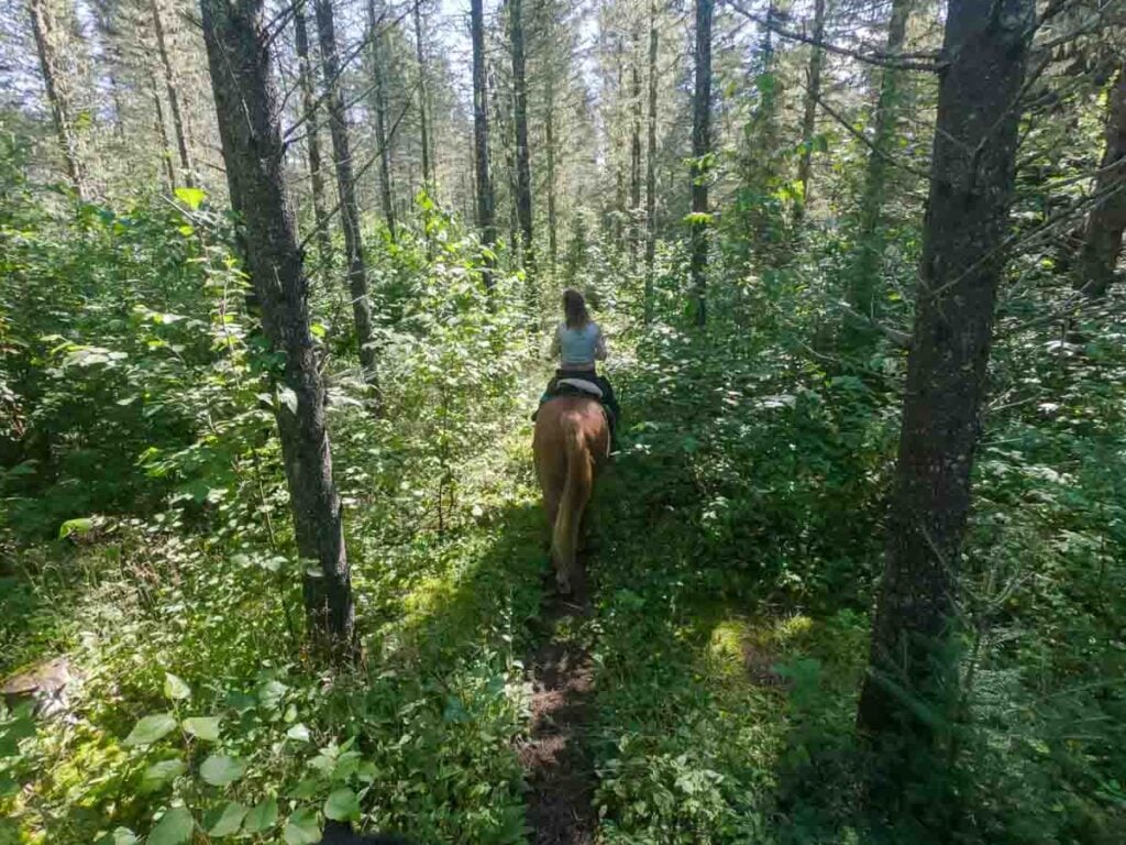 Saguenay Horse Trekking