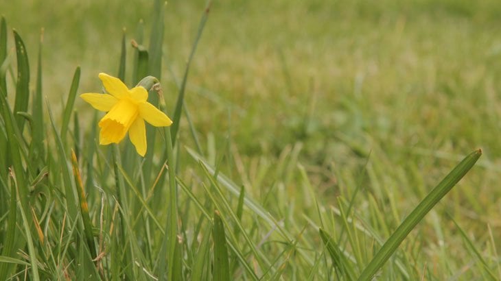 different shade of yellow