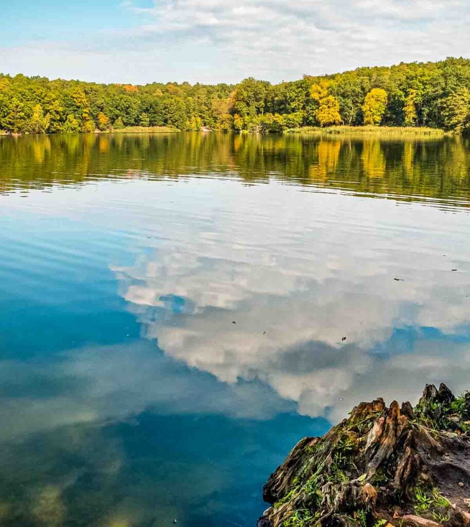 Schlachtensee trees and clouds reflections