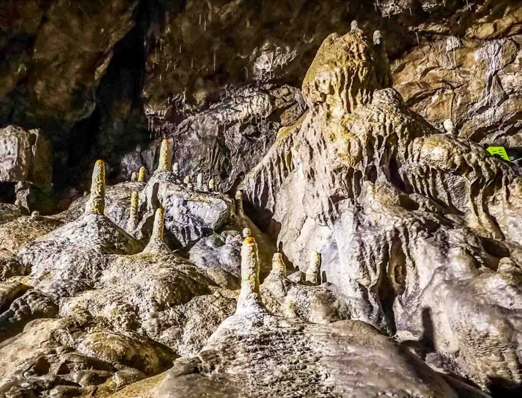 Stalagmites at Poole's Cavern