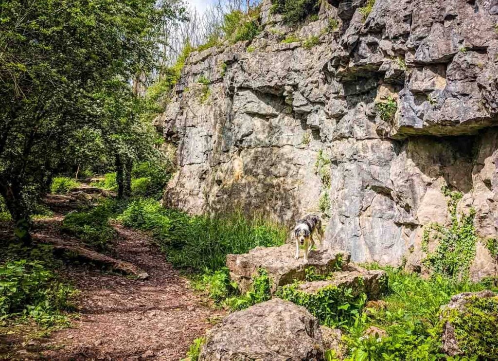 start of path at warton crag