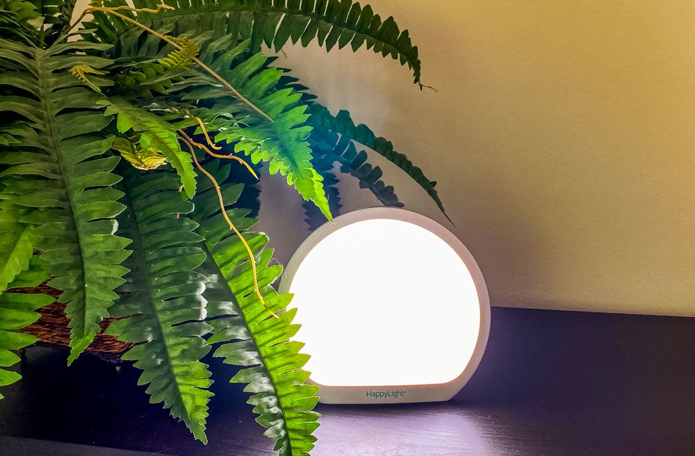 sunlamp with plant