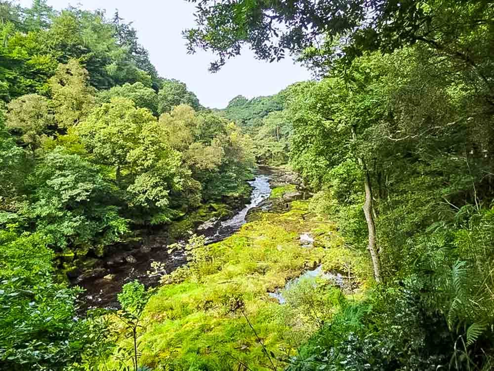 the river and strid wood