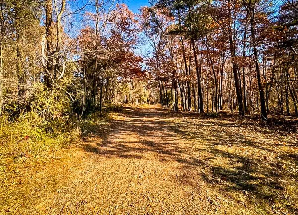 start of trail First Battle of Manassas Trail Loop