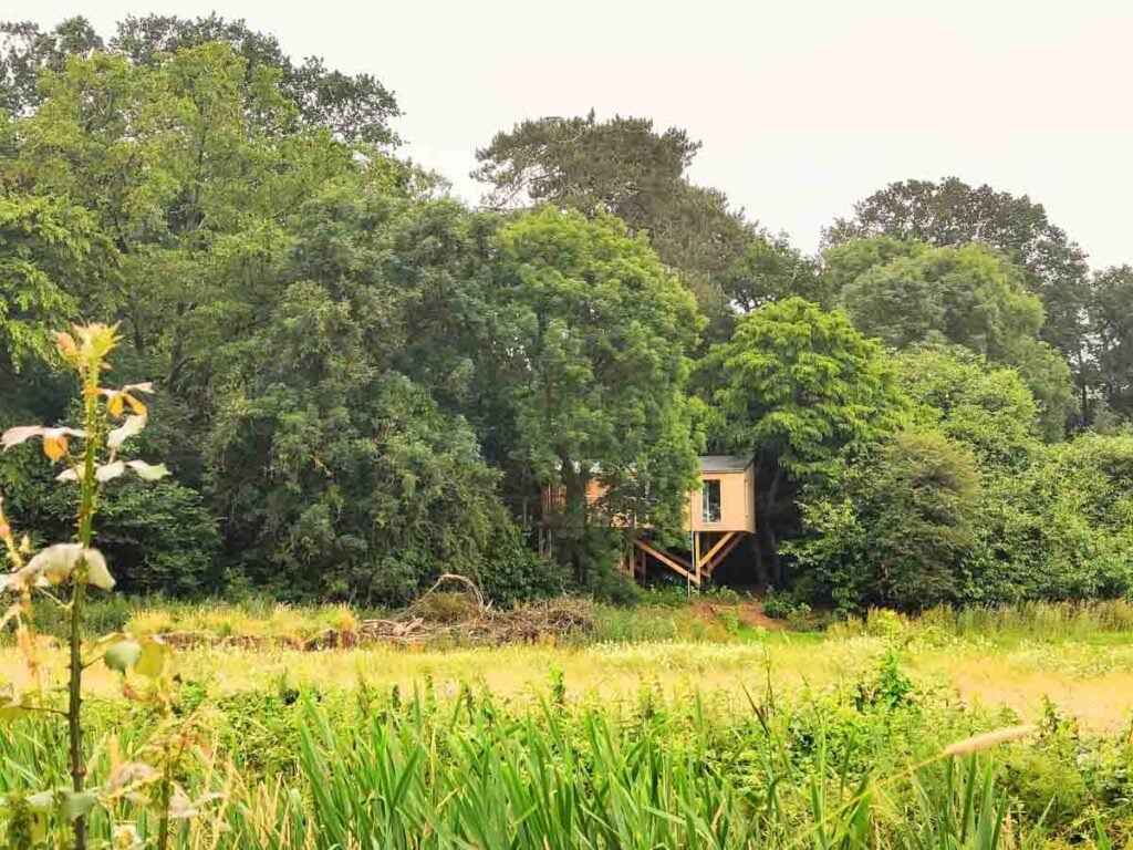 treehouse from outside