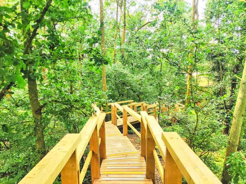 treehouse Stairway