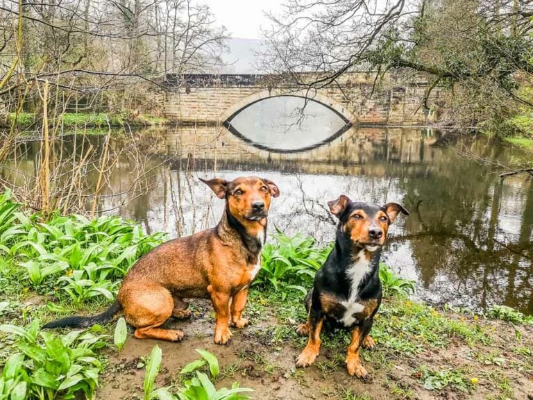 Calver Weir and Riverside Walk, Derbyshire