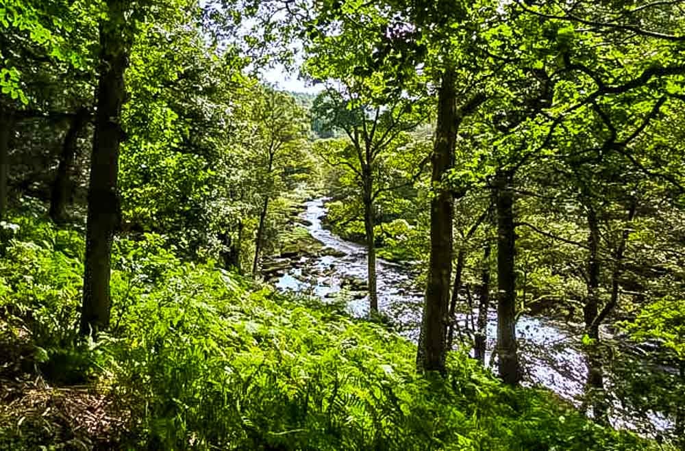 walking the strid and view