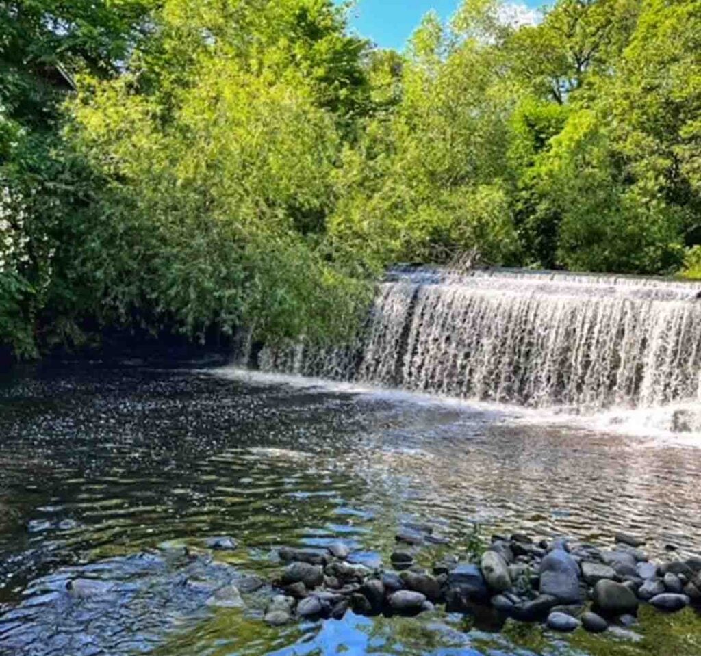 Water of Leith